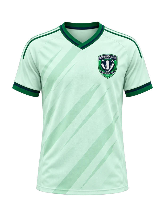 Stonybrook Albion away kit